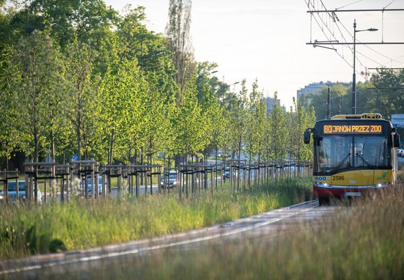 Autobus MPK Łódź