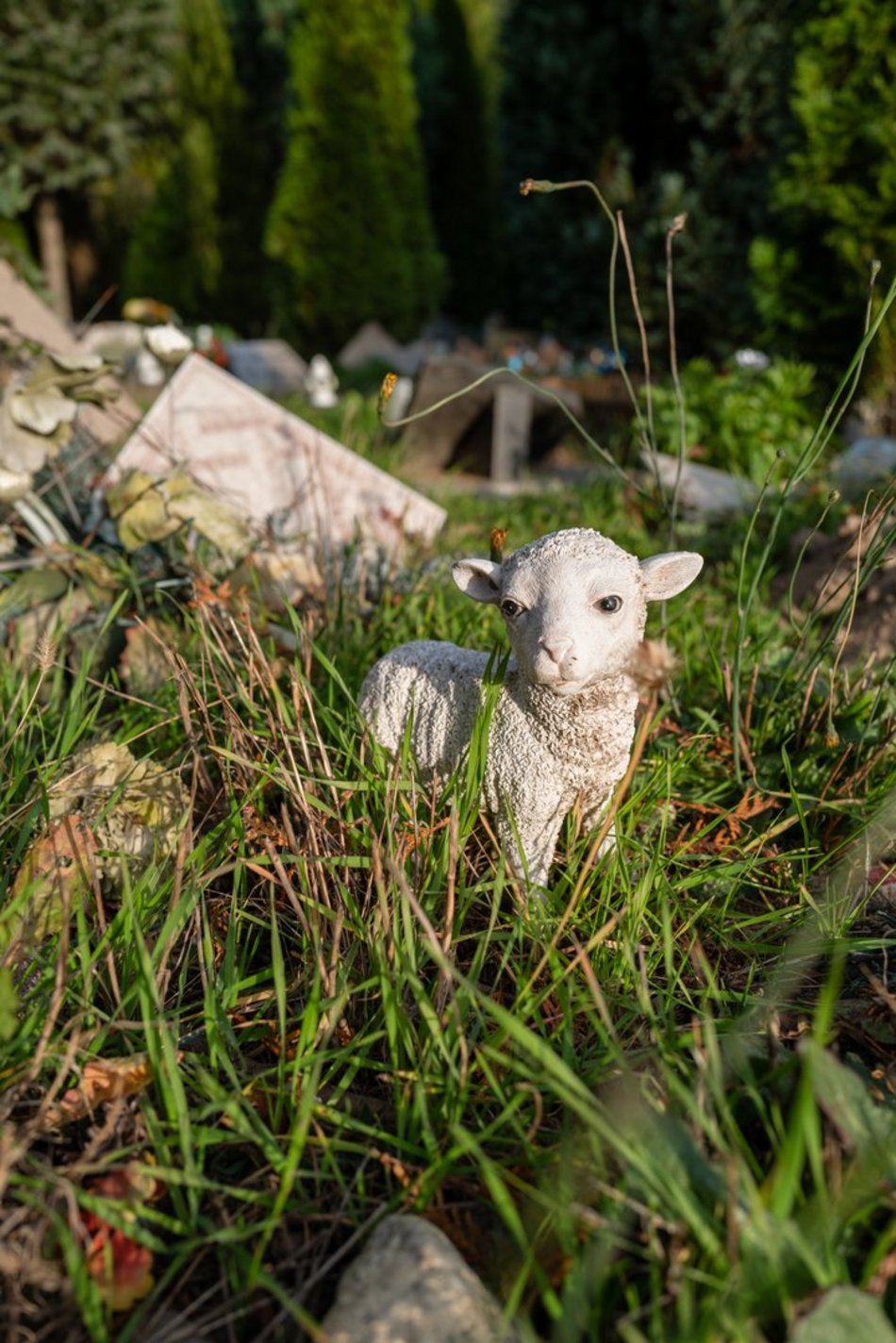 Cmentarz dla zwierząt w Łodzi