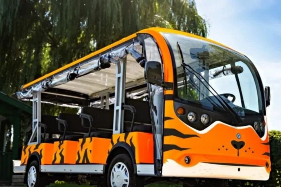 Majówka w Orientarium Zoo Łódź. Nowa zniżka, melex tygrysek, malutki orangutan