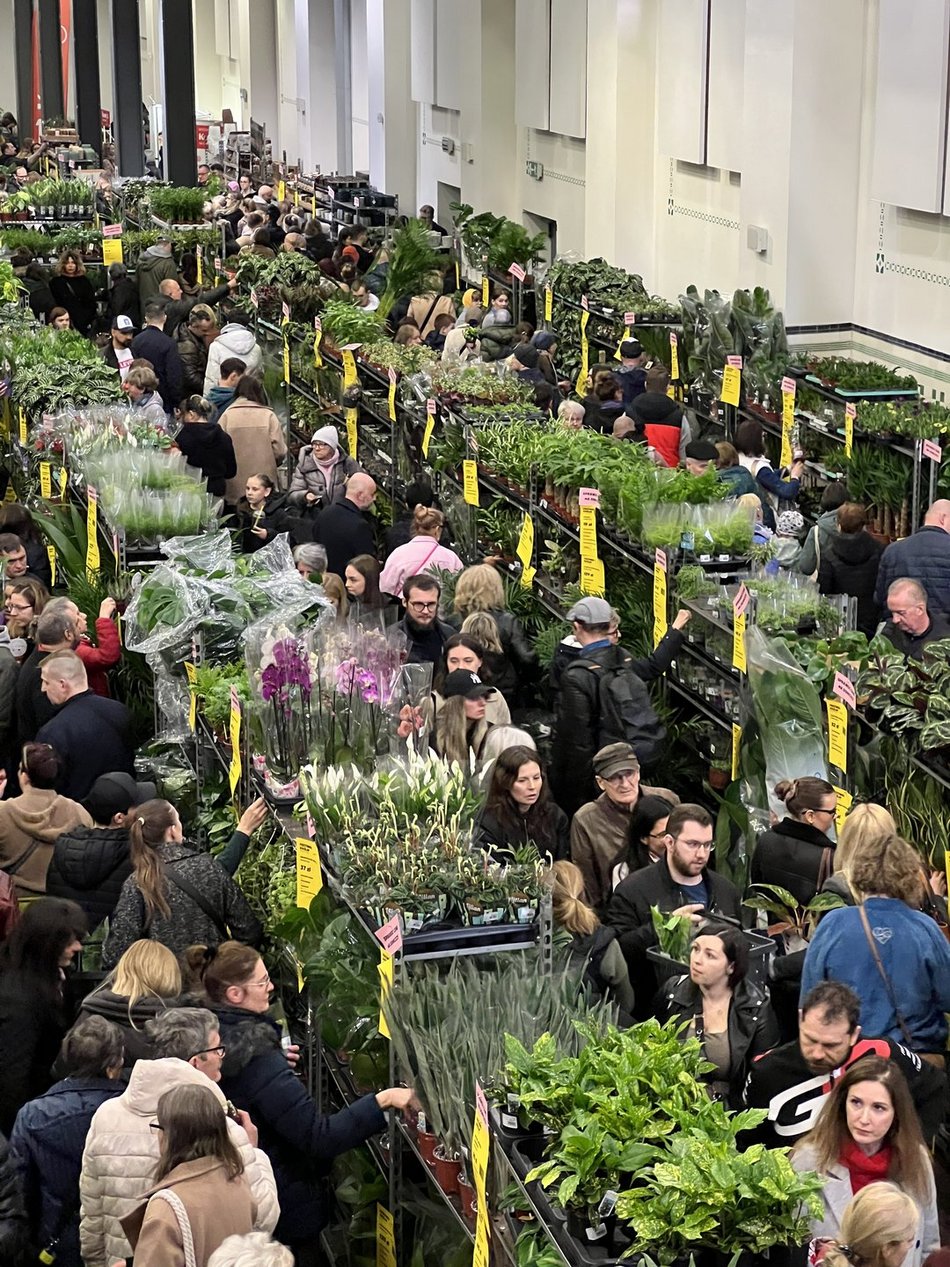 Festiwal Roślin w EC1 Łódź