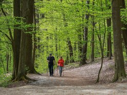 Łódź. Dolina Sokołówki i stawy w Arturówku