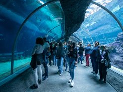 Łódź. Orientarium Zoo Łódź