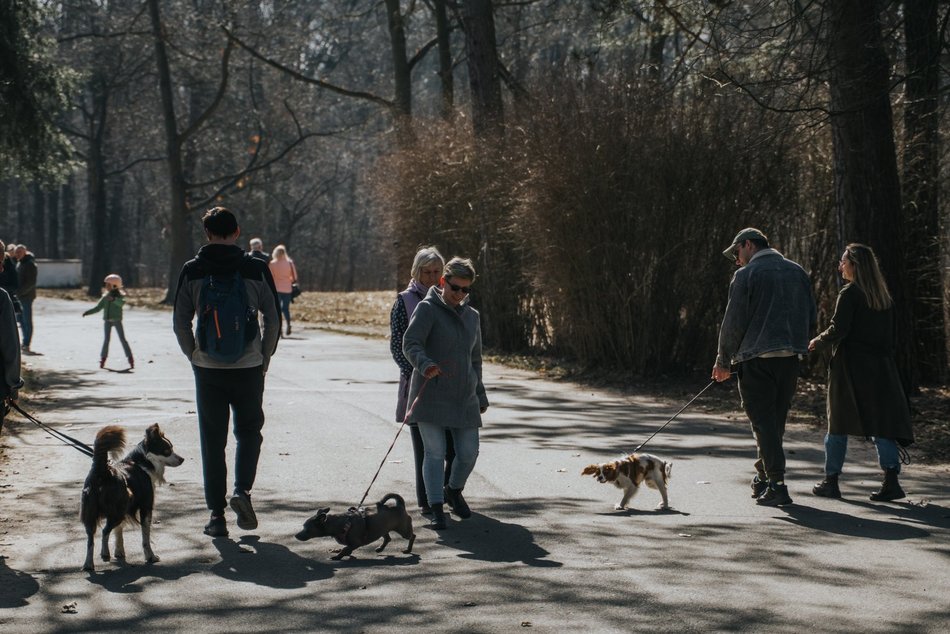 Łódź. Dobra pogoda w Łodzi sprzyja spacerowaniu! Tłumy w Parku na Zdrowiu w Łodzi