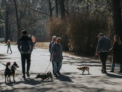 Łódź. Dobra pogoda w Łodzi sprzyja spacerowaniu! Tłumy w Parku na Zdrowiu w Łodzi