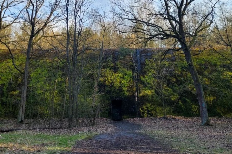 Łódź. TOP 11 atrakcji Spalskiego Parku Krajobrazowego. Natura, historia i przygoda w jednym