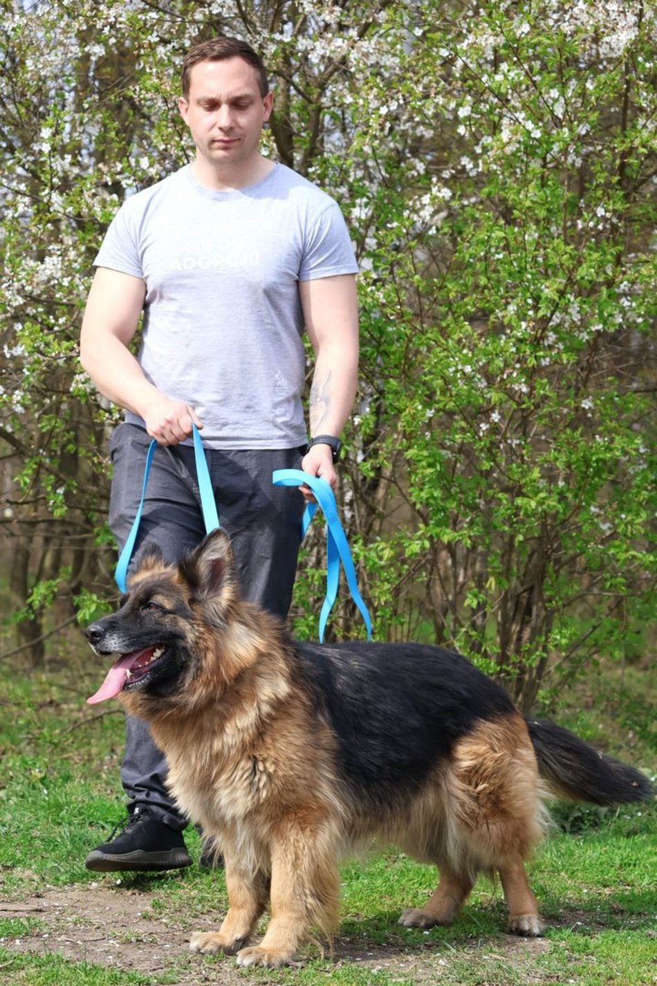 Łódź. Urocza Suzana ze schroniska w Łodzi pragnie miłości. Otwórz swoje serce i adoptuj!