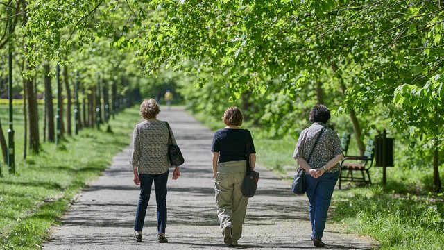 Łódzki Pakiet Klimatyczny. Konsultacje ważnego dokumentu już na początku września