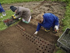 Wielkie sadzenie w Ogrodzie Botanicznym w Łodzi