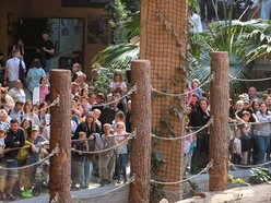 Tłumy w Orientarium Zoo Łódź! Nowości przyciągają jak magnes!