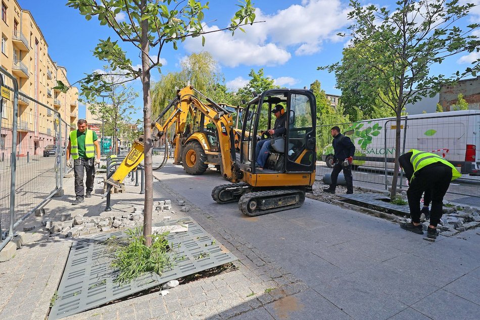 Łódź. Więcej zieleni w centrum! Zamiast betonu będą kolorowe byliny, krzewy i piękne rabaty