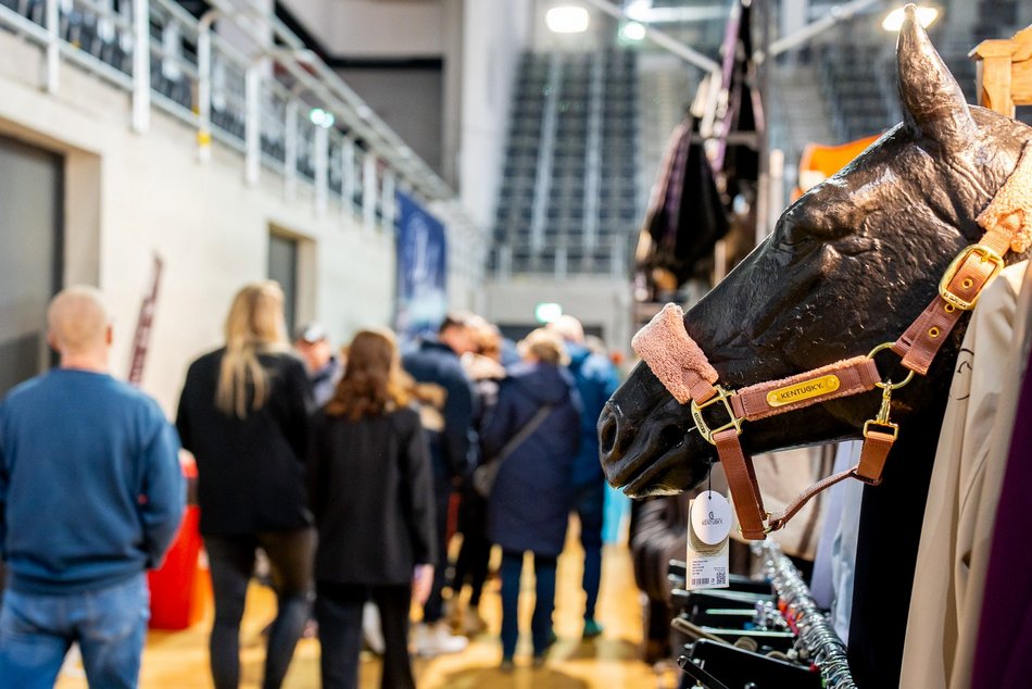 Łódź. Cavaliada Tour w Atlas Arenie w Łodzi wystartowała! Zobacz zdjęcia z pierwszego dnia zmagań