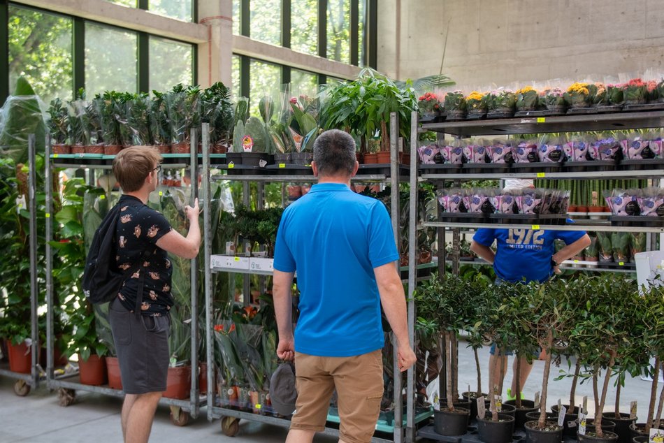 Pierwsze Targi roślin egzotycznych w Orientarium Zoo Łódź. Ale okazy!