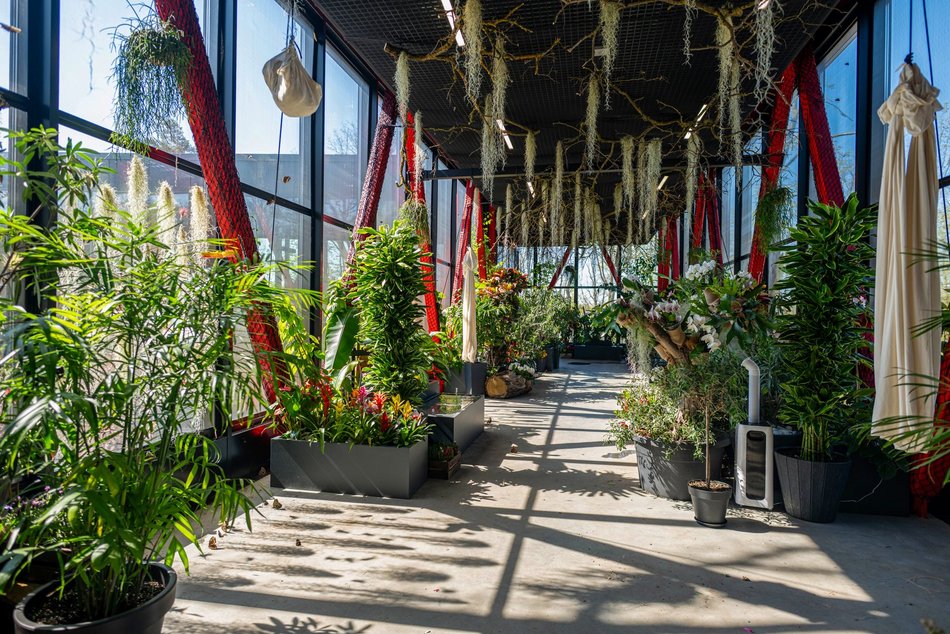 Łódź. Nowa motylarnia w Orientarium Zoo Łódź już otwarta! Największe takie miejsce w Polsce