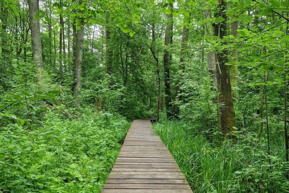 Łódź. To nie Mazury to Łódź. Gdzie znaleźć te wyjątkowe kładki?