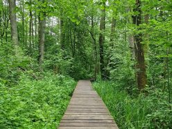 Łódź. To nie Mazury to Łódź. Gdzie znaleźć te wyjątkowe kładki?