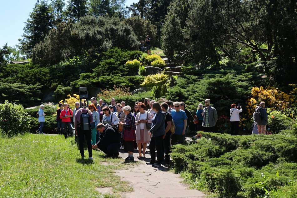 Ogród Botaniczny w Łodzi. Kwitnące rośliny