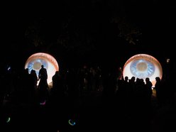 Byliście już w parku Sienkiewicza? Bajkowy świat Light Move Festival 2025 Łódź [ZDJĘCIA]