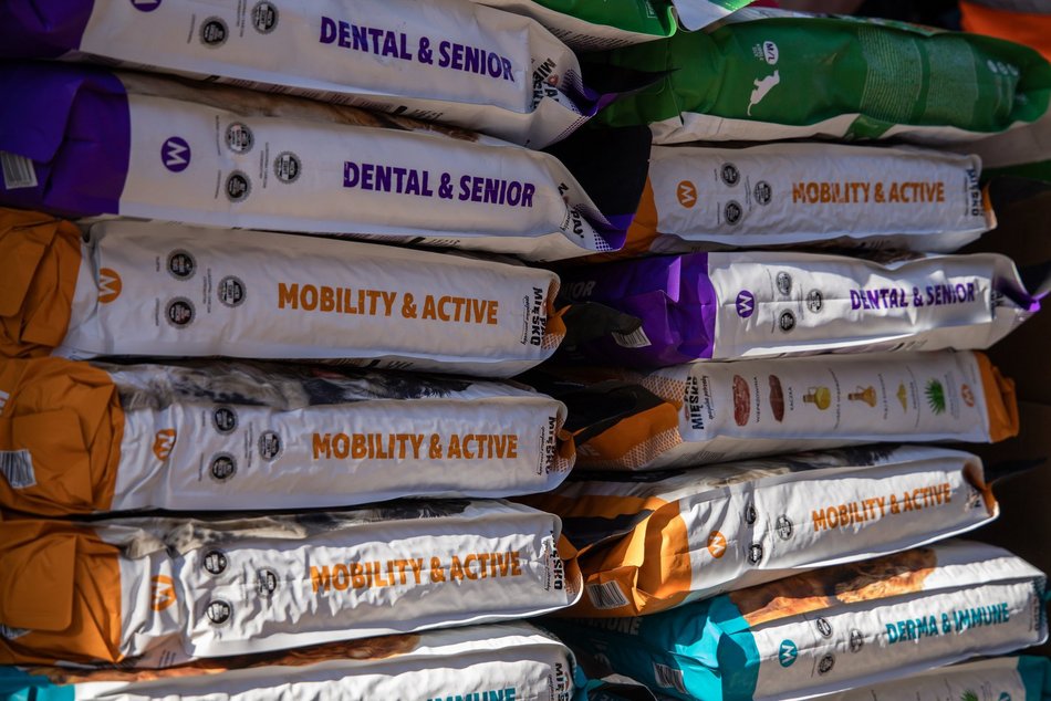 Masa karmy przyjechała do schroniska w Łodzi! W trosce o małe łakomczuchy