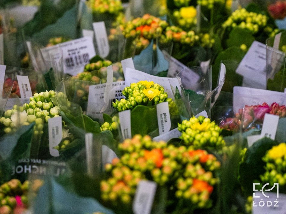 Łódź. Wiosenny Festiwal Roślin w EC1