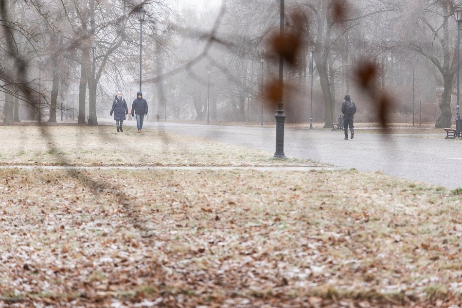 Łódź. Spacerowicze w parku Poniatowskiego