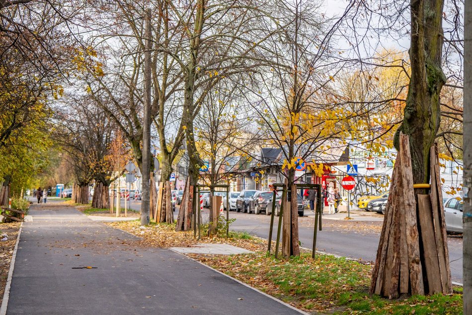 Łódź. Nowe drzewa przy Ciołkowskiego w Łodzi. Oczyszczą powietrze i upiększą okolicę
