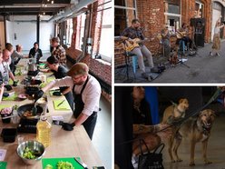 Łódź. Gastro dla schroniska w Łodzi. Tak się łączy miłość do jedzenia, muzyki i zwierząt!