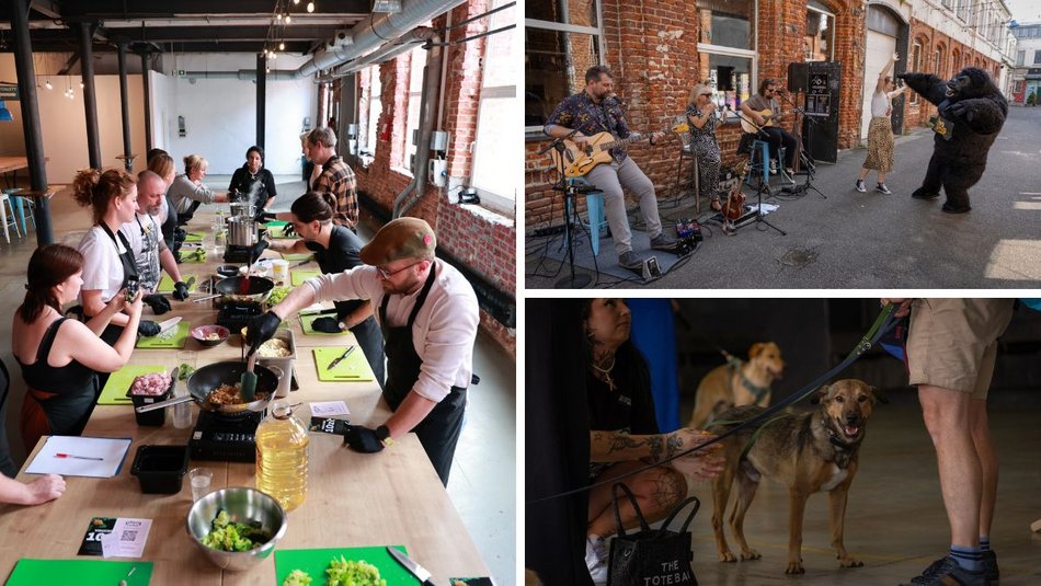 Łódź. Gastro dla schroniska w Łodzi. Tak się łączy miłość do jedzenia, muzyki i zwierząt!