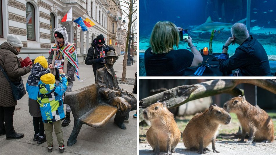 WOŚP 2025 w Łodzi. Orientarium Zoo Łódź gra z Wielką Orkiestrą Świątecznej Pomocy!