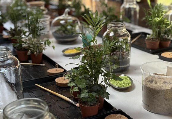 Łódź. Podaruj roślinny upominek w szkle