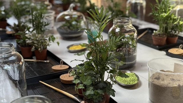 Podaruj roślinny upominek w szkle. Wyjątkowe warsztaty w Orientarium Zoo Łódź