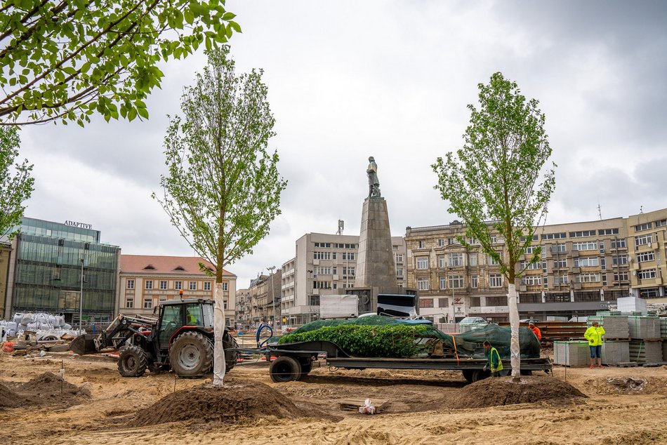 Plac Wolności - sadzenie drzew, plac budowy