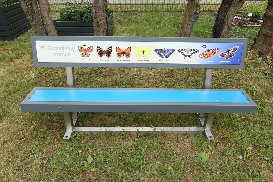 Nowy ogródek dydaktyczny w przedszkolu w Łodzi