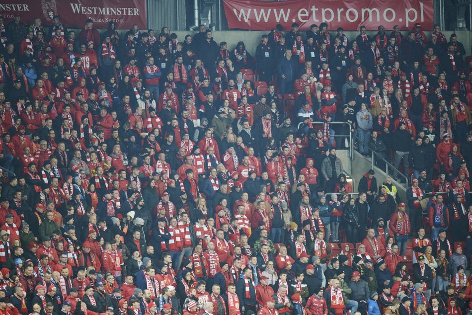 Kibice na meczu Widzew Łódź – Warta Poznań