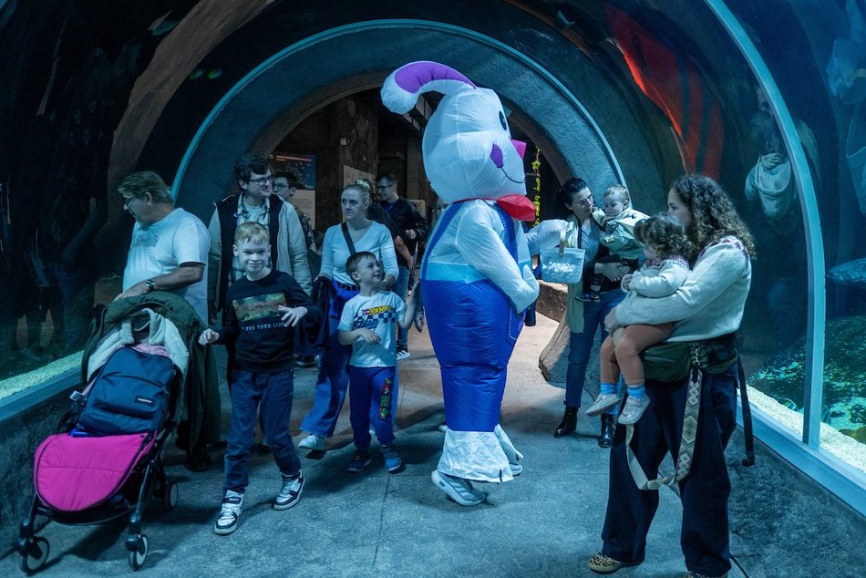 Łódź. Wielkanocny zając w Orientarium Zoo Łódź