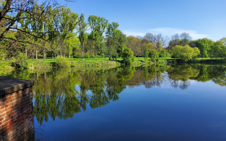 Widok na park nas Jasieniem z grobli przy dawnym Wójtowskim Młynie