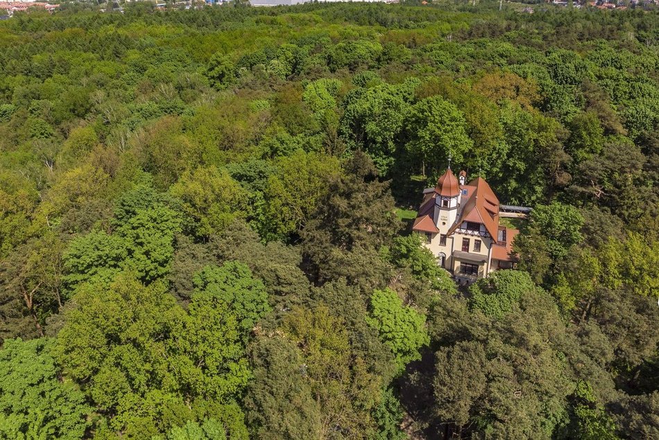 Łódź. TOP 7 pomysłów na poranek z dzieckiem w Łodzi. Weekendowy piknik, bajkowe seanse i więcej