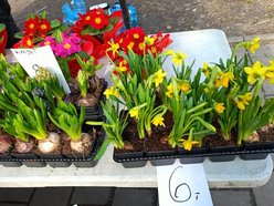 Łódź. Ceny kwiatów w Łodzi. Rynki, stragany, kwiaciarnie i supermarkety