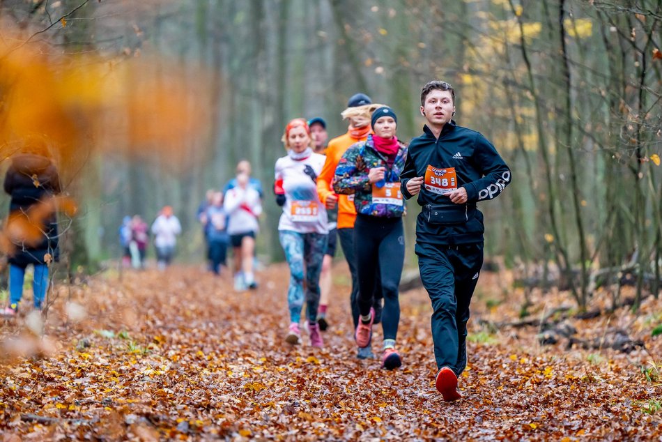 Cookie Run w Lesie Łagiewnickim w Łodzi