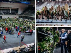 Łódź. Festiwal Roślin w Sport Arenie w Łodzi. Wyjątkowe okazy i tłumy łodzian!