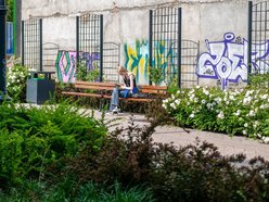 Wracamy na Mielczarskiego w Łodzi po remoncie. Ulica zachwyca zielenią i... spokojem!