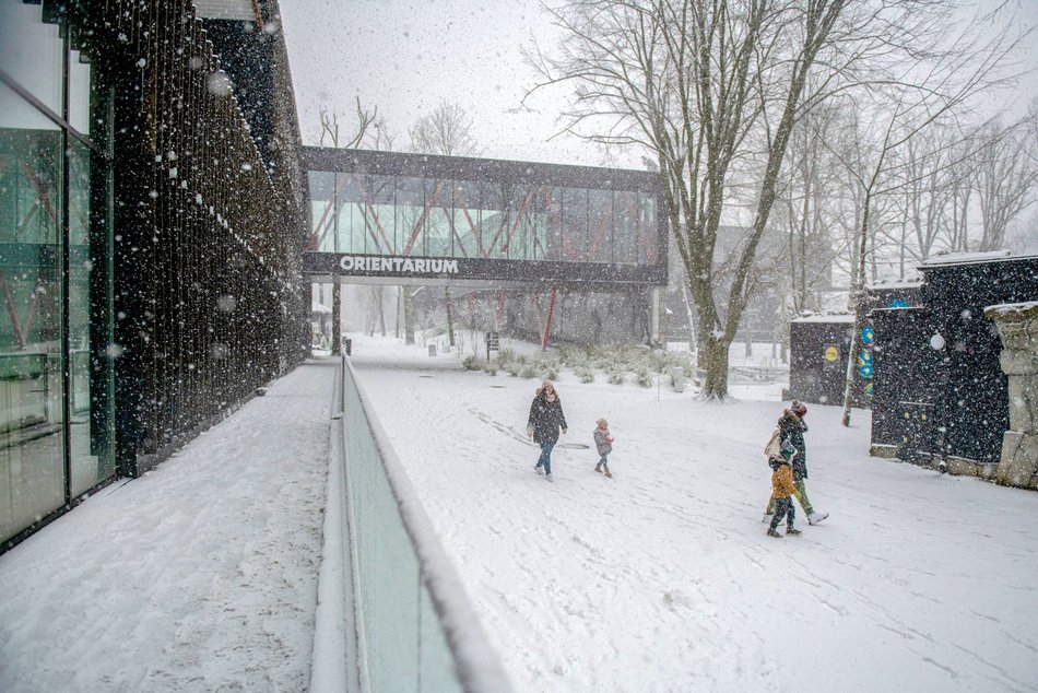 Łódź. Orientarium Zoo Łódź z nominacją w plebiscycie „Zimowe Gwiazdy Travelist 2026”. Oddaj swój głos!