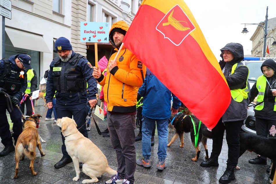 Parada kundelków w Łodzi 2025 przeszła ulicami. Skala słodyczy wysoka jak nigdy!