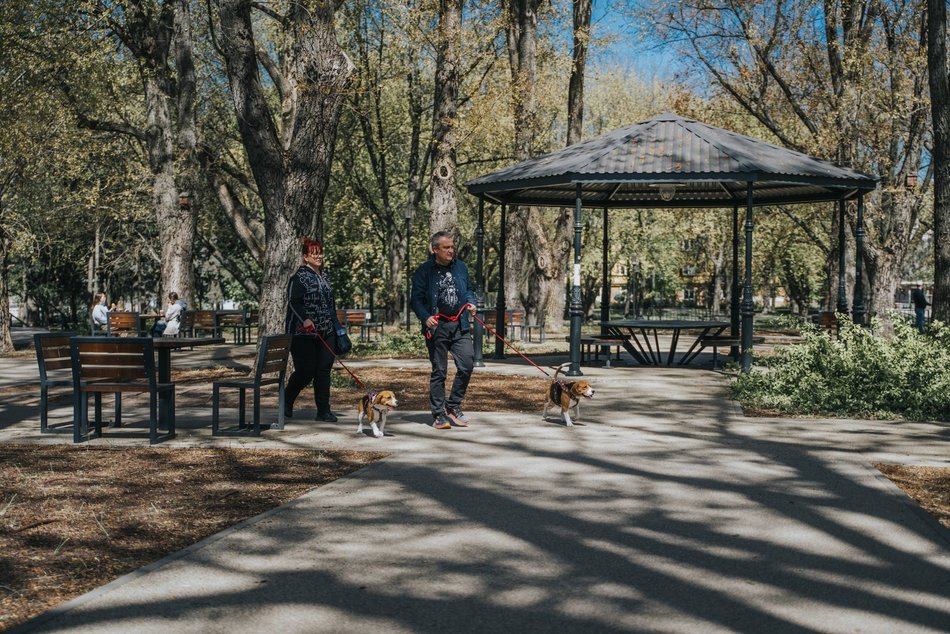 Łódź. Park Staromiejski w Łodzi idealny na majówkowy spacer. To zielona oaza w centrum miasta!