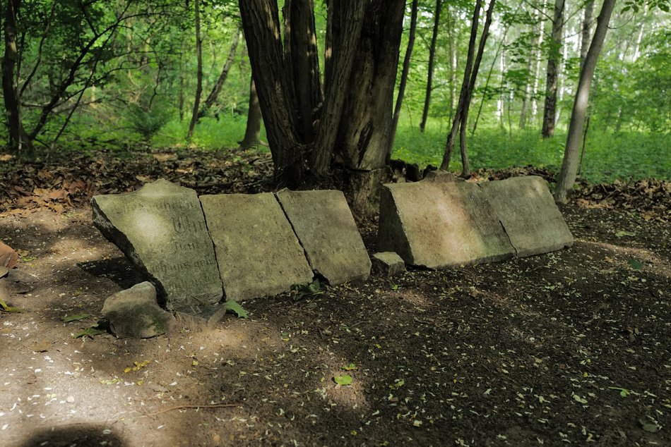 Łódź. Ludzkie kości i nagrobki w Parku Zbójnickim w Łodzi. Niezwykłe odkrycia archeologów z UŁ