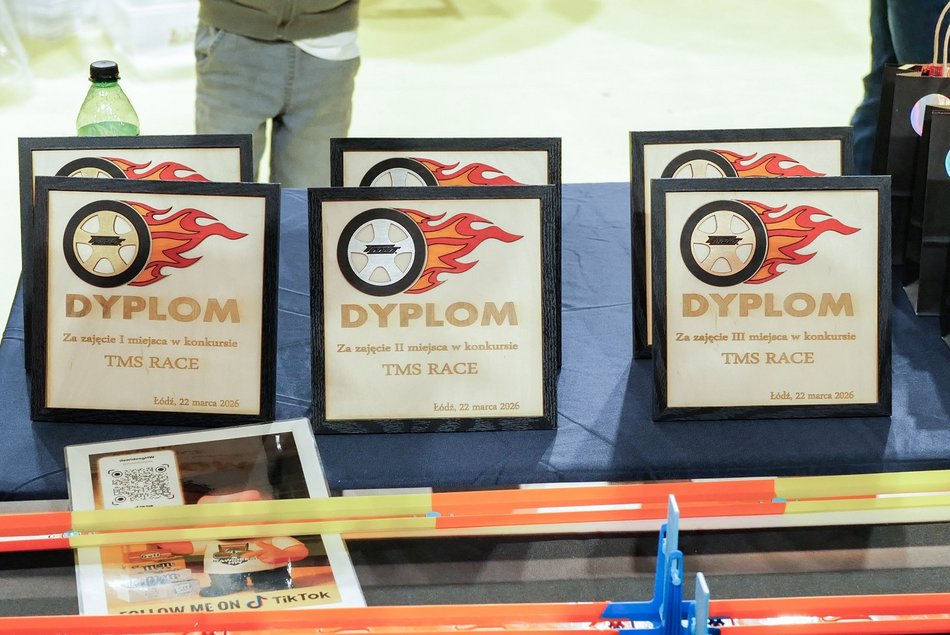 Łódź. Targi Modeli Samochodowych w Łodzi przyciągnęły tłumy! Gratka dla fanów Hot Wheels