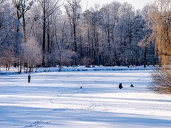 Łódź. Zamarznięty staw