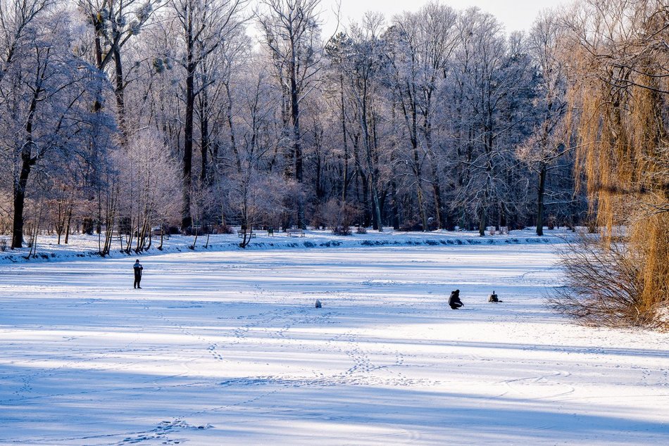 Łódź. Zamarznięty staw