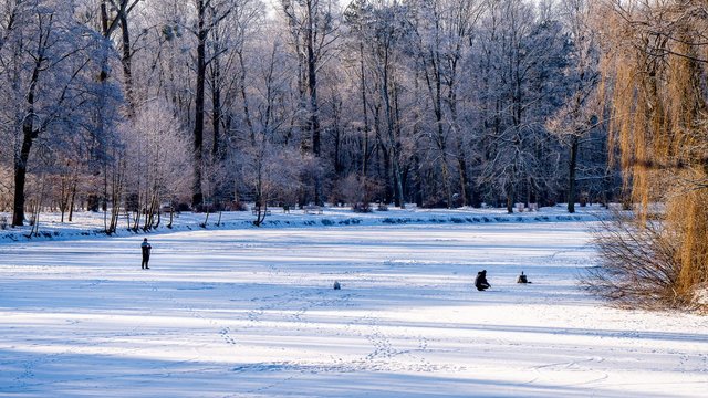 Stawy w parkach w Łodzi to nie lodowiska! Najczęstsze błędy, które mogą kosztować życie