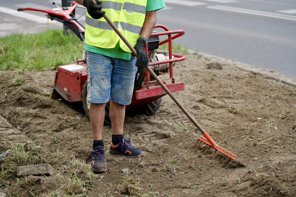 Aleksandrowska zielenieje! Nowe nasadzenia w ramach Budżetu Obywatelskiego Łódź