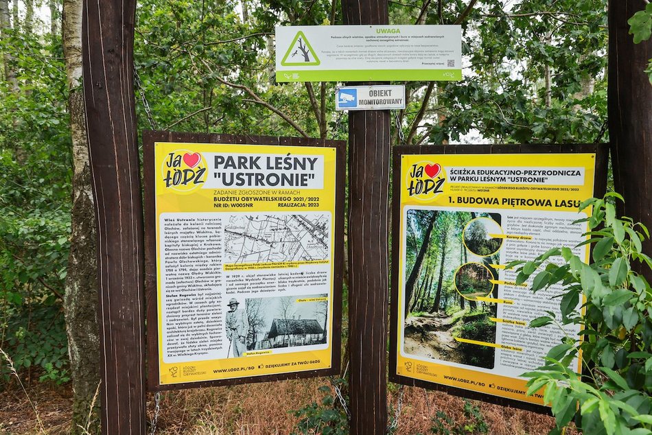 Łódź. Nowy park leśny w Łodzi! Mieszkańcy Dorabialskiej zyskali zieloną oazę!